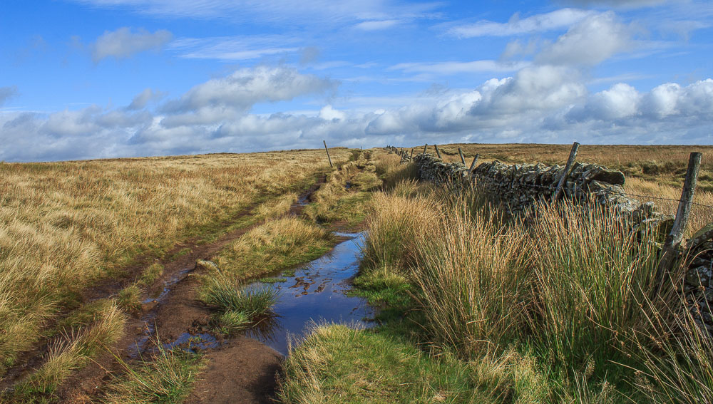 Rushup Edge